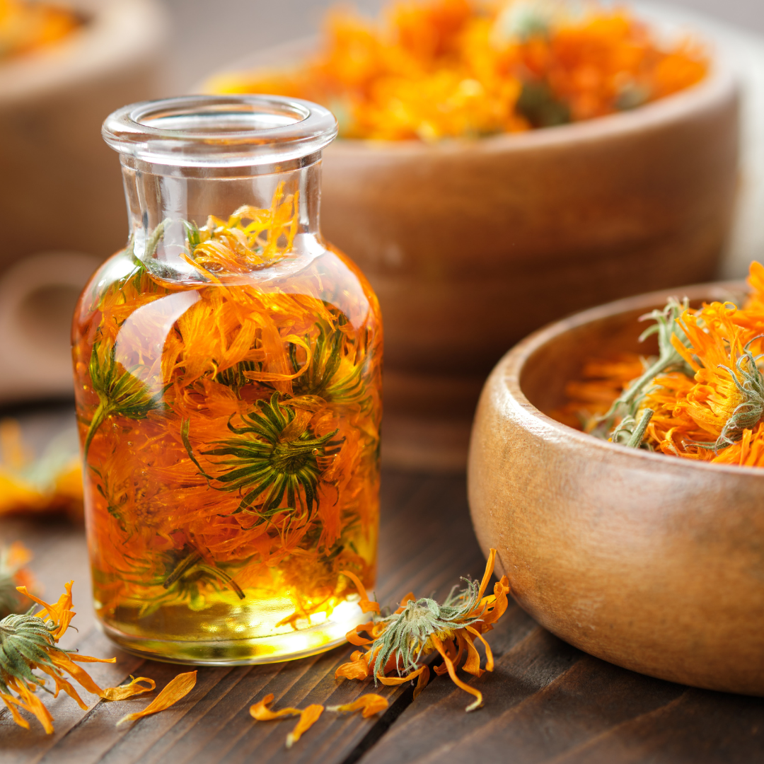 Unlocking the Skin Benefits of Calendula: Nature’s Healing Wonder