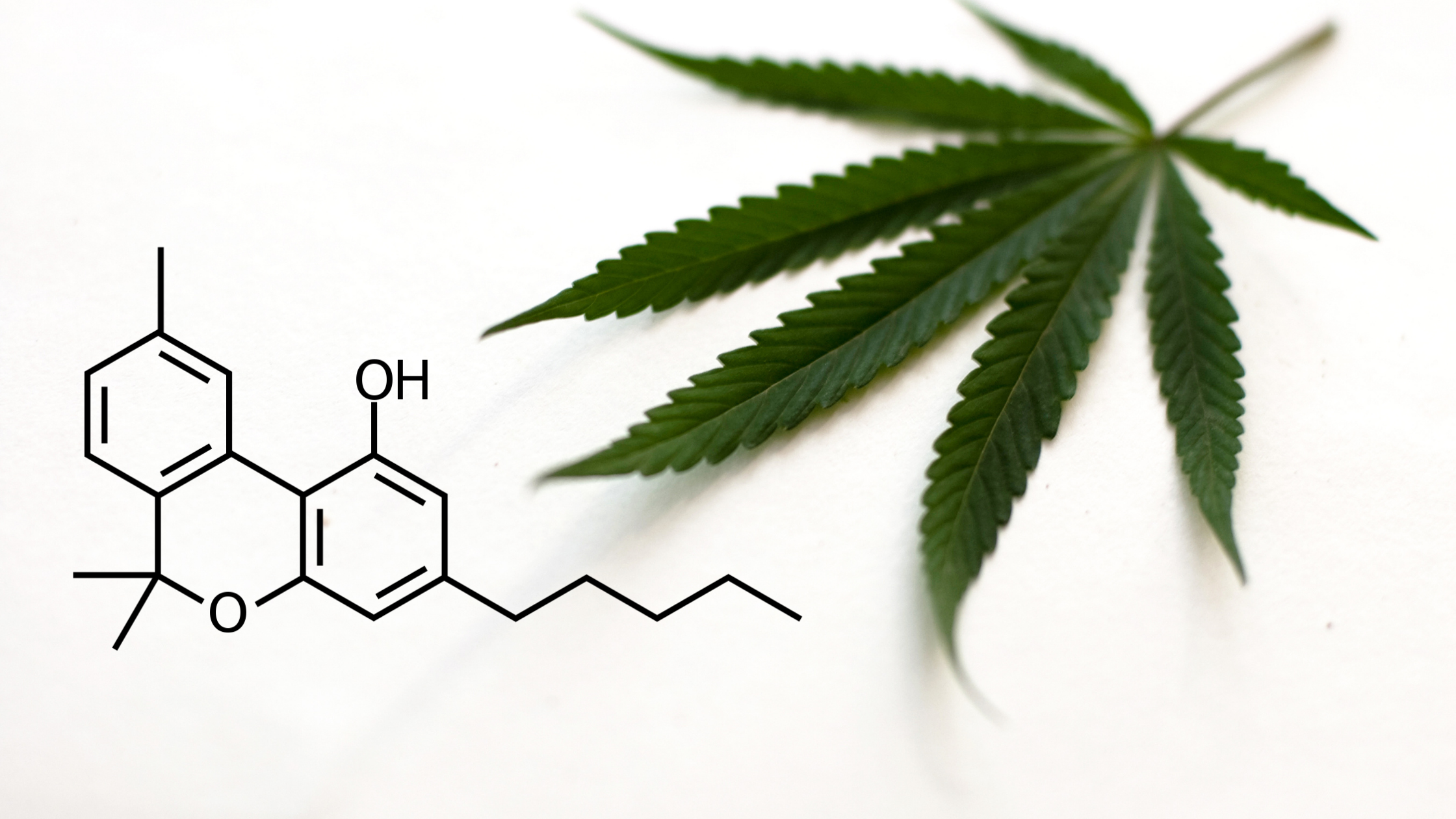 CBN: The Secret Cannabinoid You Want In Your Wellness Routine