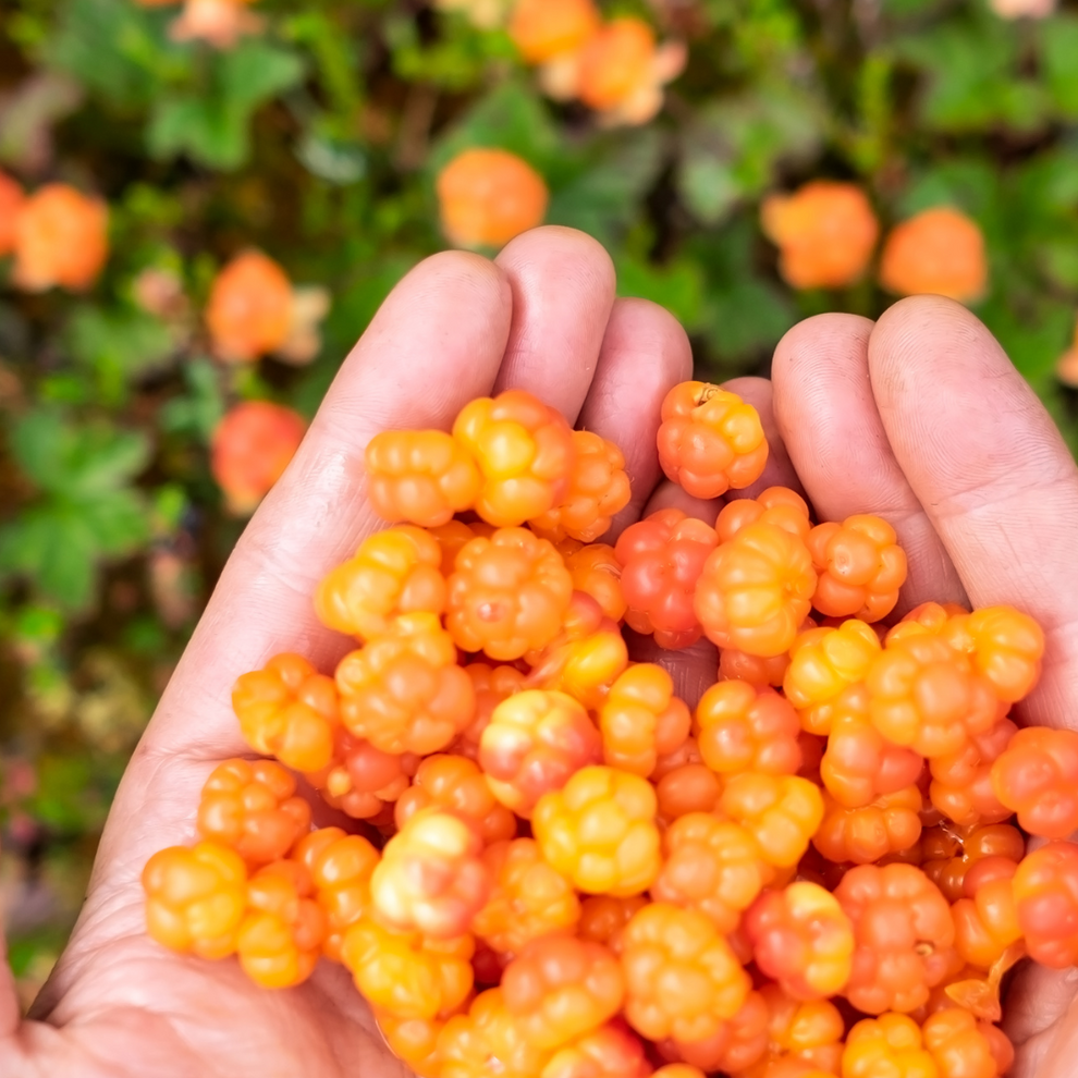 Cloudberry to brighten and protect, leaving your skin visibly radiant.